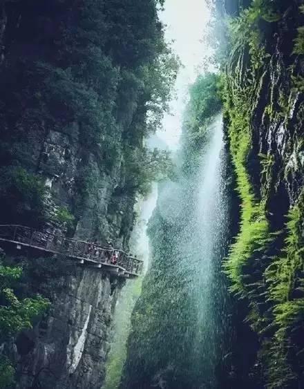 孤岛惊魂原始杀戮